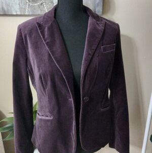 New York & Company Velvet Blazer in Plum
